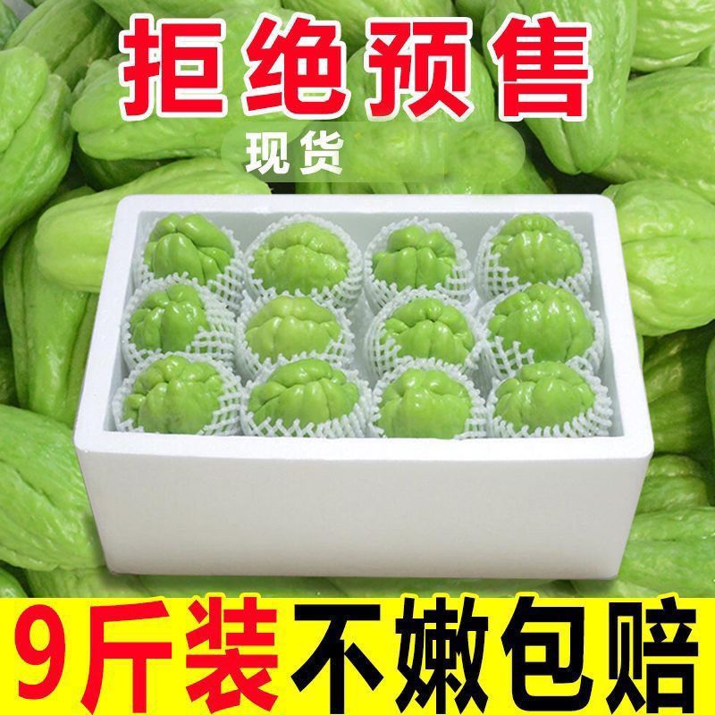 云南佛手瓜新鲜洋瓜丰收现摘窝瓜当季农家丝瓜寿瓜自种蔬菜批