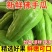 云南佛手瓜新鲜洋瓜丰收现摘窝瓜当季农家丝瓜寿瓜自种蔬菜批