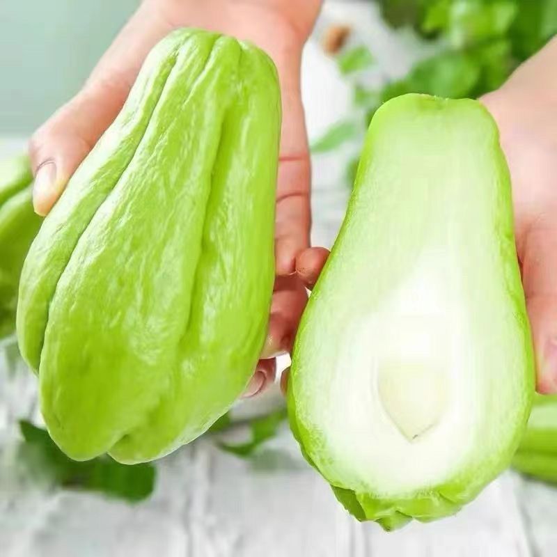 云南佛手瓜新鲜洋瓜丰收现摘窝瓜当季农家丝瓜寿瓜自种蔬菜批