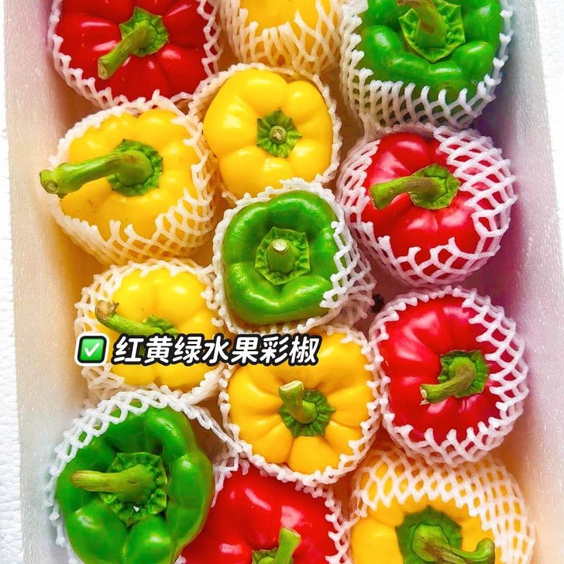 《寿光五彩椒》圆椒五彩椒柿子椒灯笼椒红黄椒水果甜椒