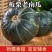新鲜应季绿栗大南瓜老瓜新摘粉糯香甜栗味十足当季蔬菜粉糯干