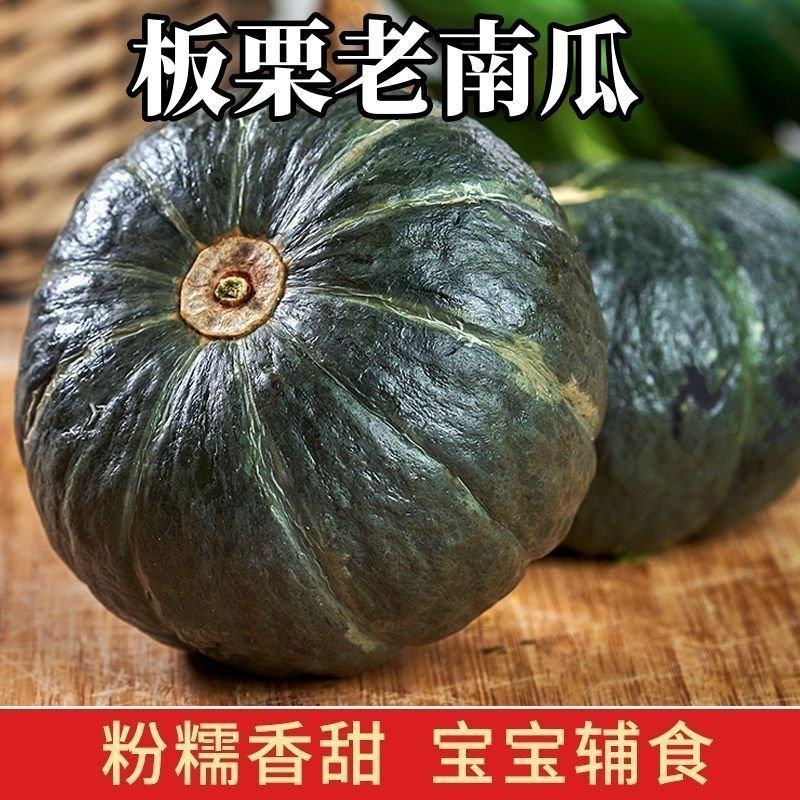 新鲜应季绿栗大南瓜老瓜新摘粉糯香甜栗味十足当季蔬菜粉糯干