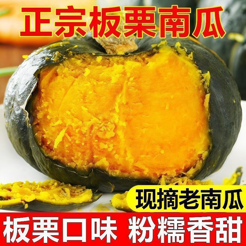 新鲜应季绿栗大南瓜老瓜新摘粉糯香甜栗味十足当季蔬菜粉糯干