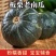 新鲜应季绿栗大南瓜老瓜新摘粉糯香甜栗味十足当季蔬菜粉糯干