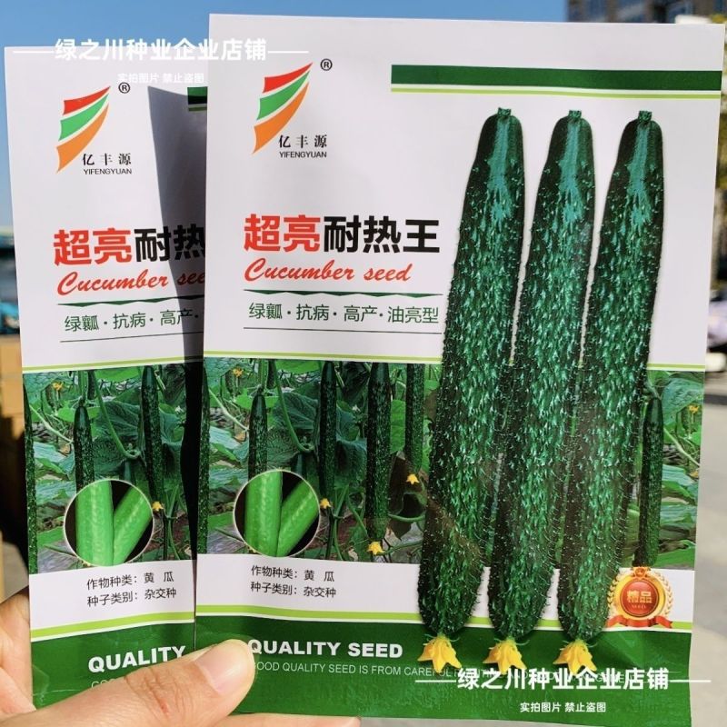 耐热油亮王黄瓜种子绿瓤长黄瓜种籽春夏秋季耐热密刺大田高产