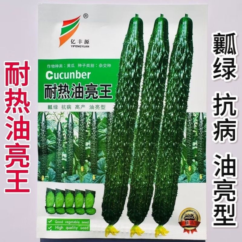 耐热油亮王黄瓜种子绿瓤长黄瓜种籽春夏秋季耐热密刺大田高产