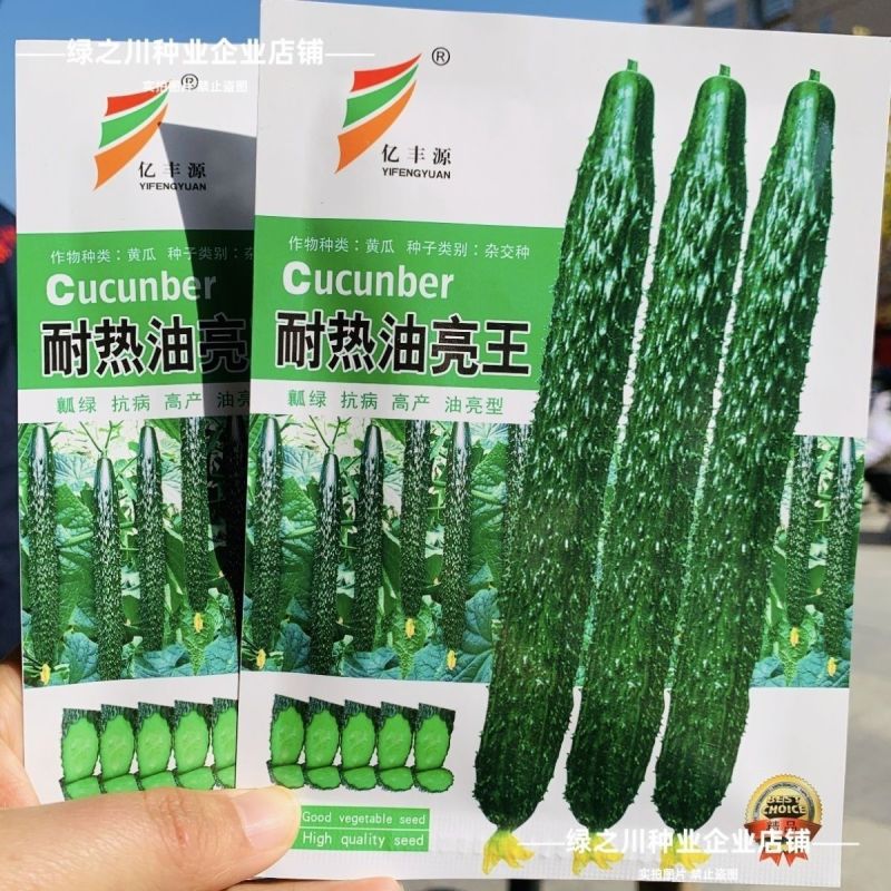 耐热油亮王黄瓜种子绿瓤长黄瓜种籽春夏秋季耐热密刺大田高产
