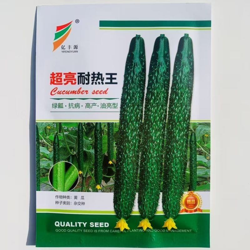 耐热油亮王黄瓜种子绿瓤长黄瓜种籽春夏秋季耐热密刺大田高产