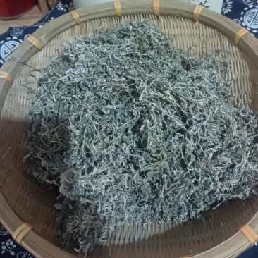 莓茶/福建莓茶/野生莓茶/厦门茶叶/精选好茶欢迎来电