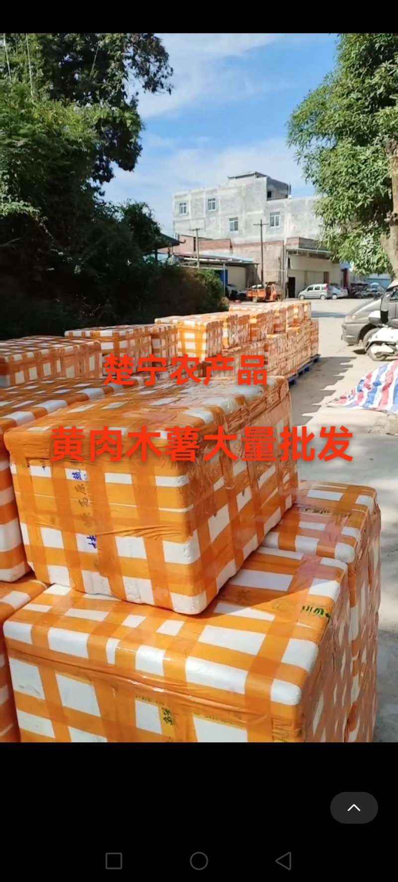 百香果原酱