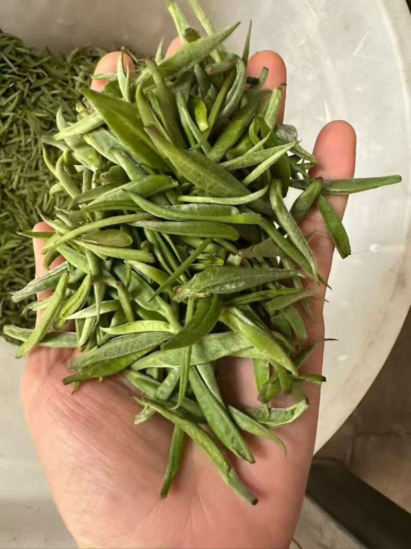 云南临沧冰岛茶叶，甜香甜，新茶上市，，，，