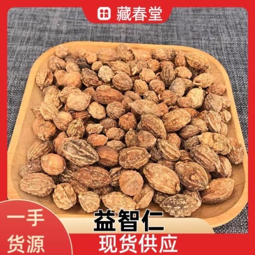 益智仁现货供应产地货源当季新货