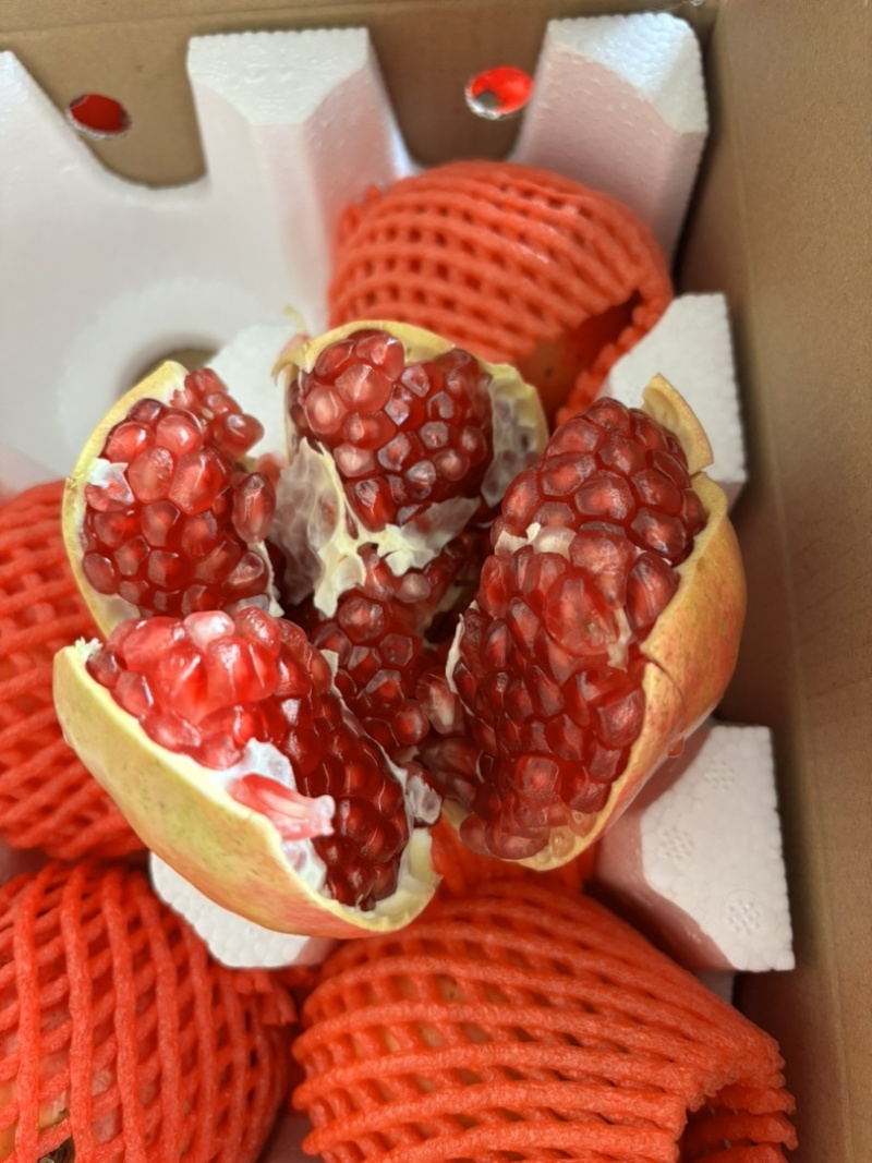 突尼斯软籽石榴