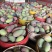 贵妃芒果🥭一件代发市场
