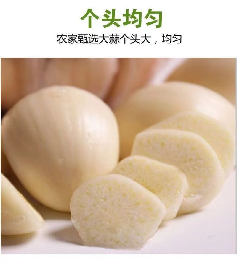 精品新干蒜紫皮白皮出口贸易，市场批发保质保量，全国发货