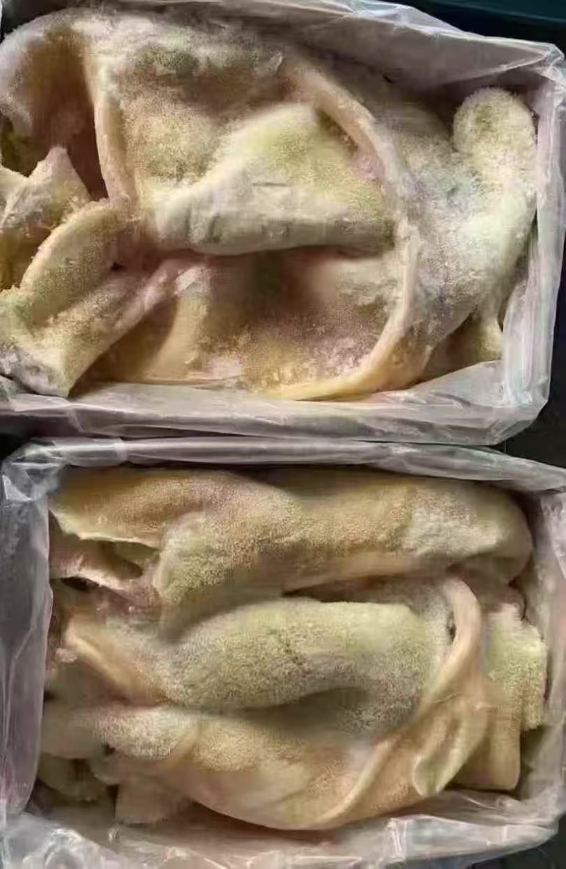 纯干熟牛肚，精修干净，适合肚丝汤，爆炒凉拌，穿牛肚串等。