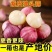 精品新干蒜紫皮白皮出口贸易，市场批发保质保量，全国发货