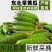 东北旱黄瓜大量上市基地直发保质保量一条龙服务量大从优