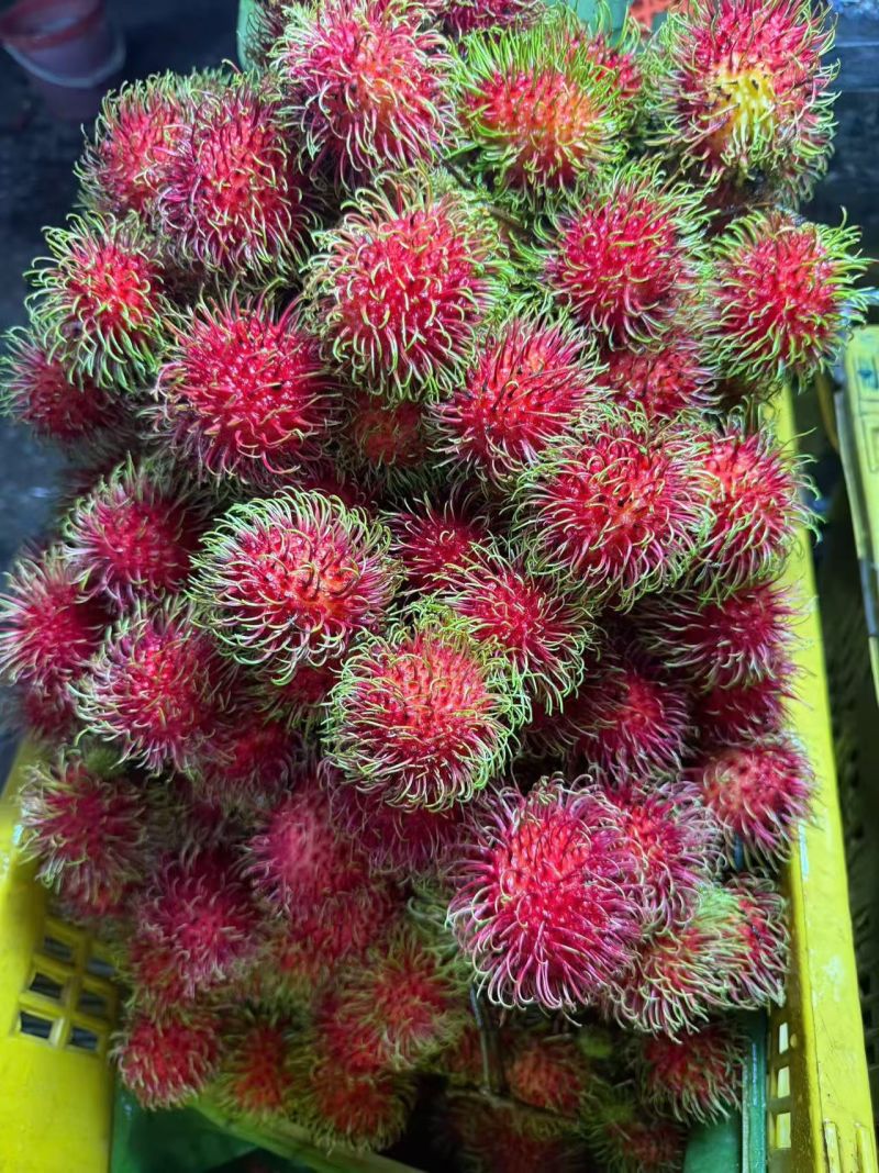 红毛丹[顺丰包邮]支持一件代发