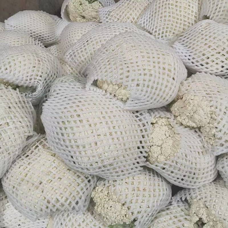 精品有机花大量供应