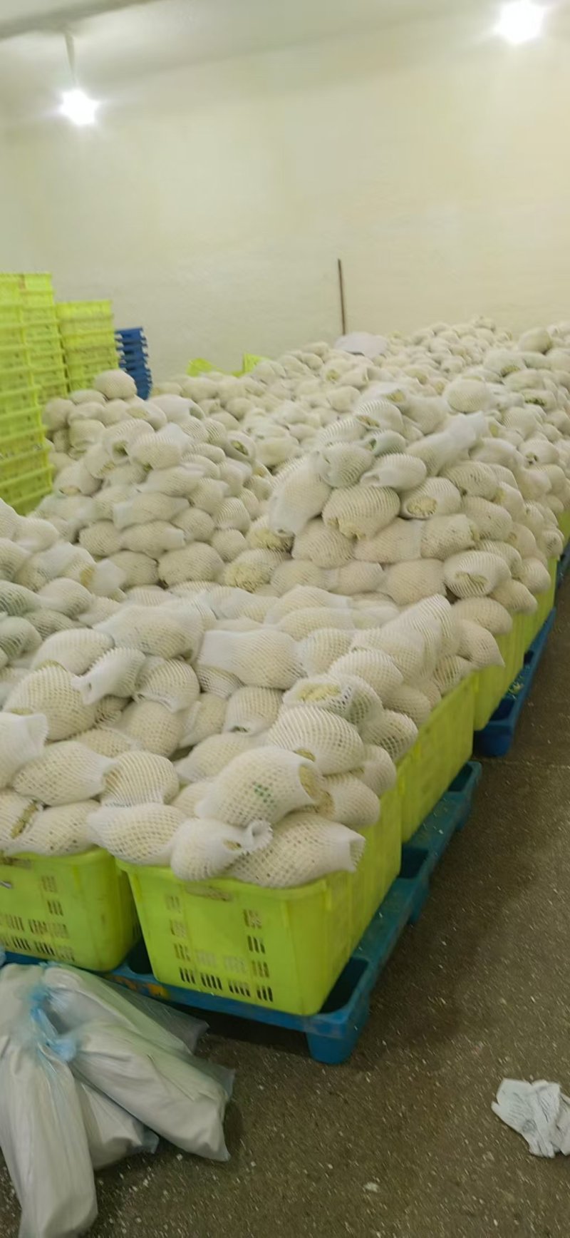 精品有机花大量供应