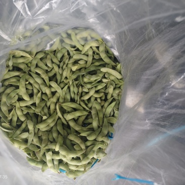 75速冻毛豆荚膜