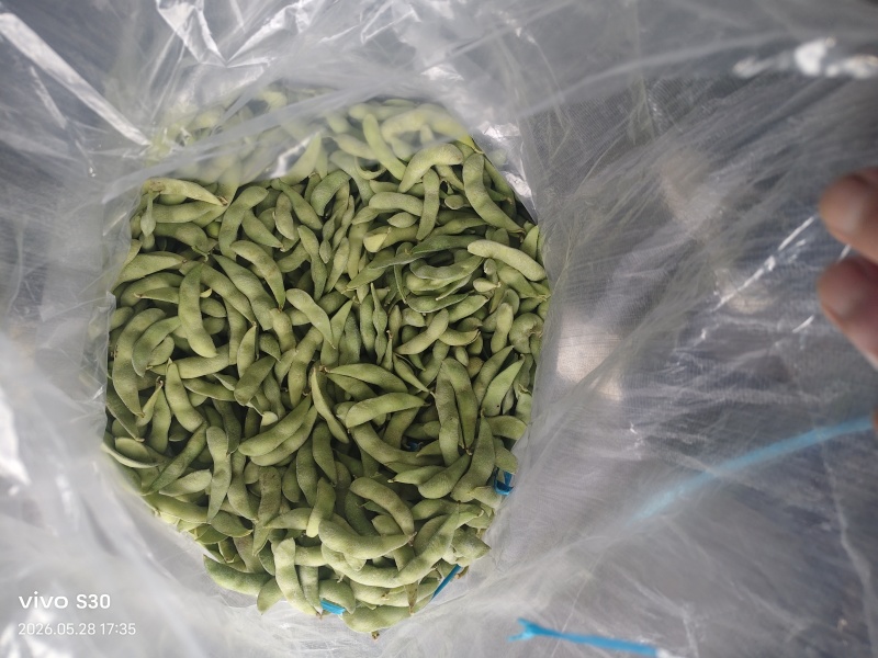 75速冻毛豆荚膜