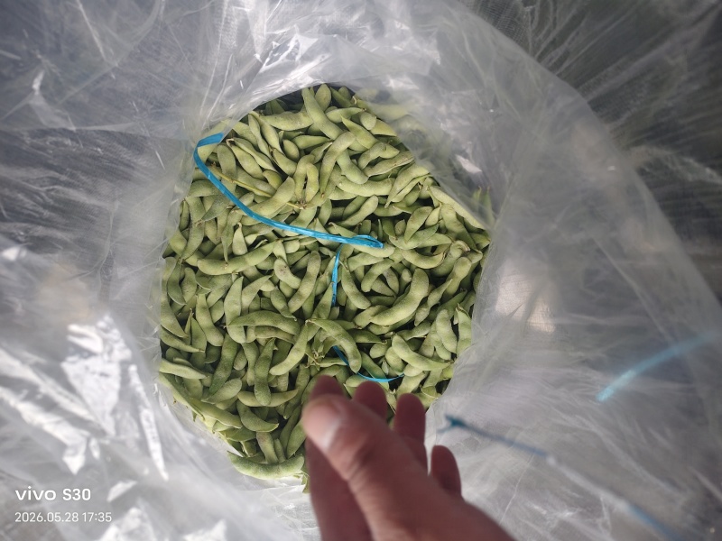 75速冻毛豆荚膜