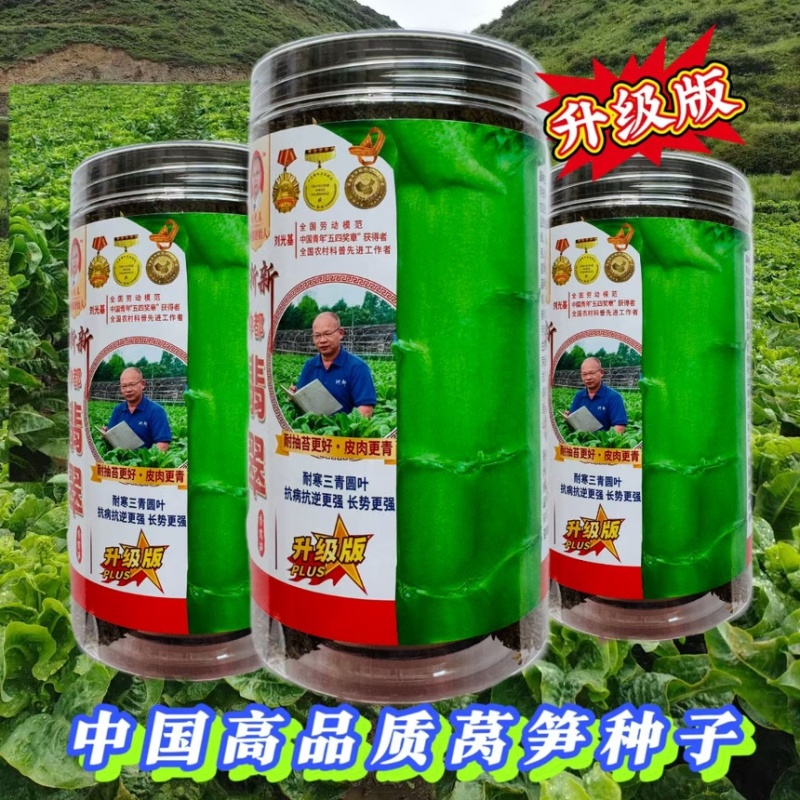 种都翡翠升级版高品质莴笋种子耐寒三青圆叶抗病抗逆更强长