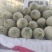 新疆吐鲁番火焰山脚下小蜜25号蜜瓜