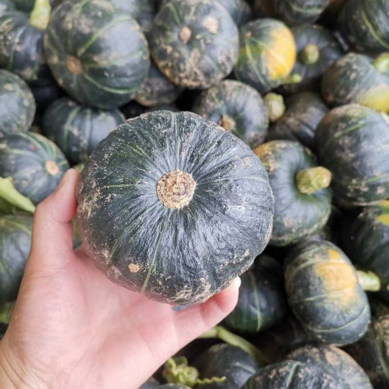 湖北南瓜贝贝南瓜软糯香甜
