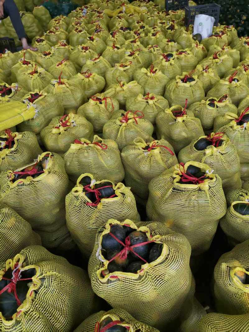 湖北南瓜贝贝南瓜软糯香甜