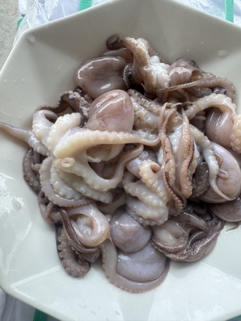 八爪鱼盐磨去内脏本地八爪适合各大餐饮
