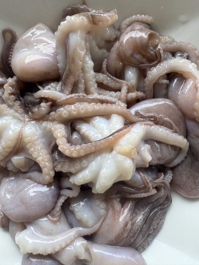 八爪鱼盐磨去内脏本地八爪适合各大餐饮