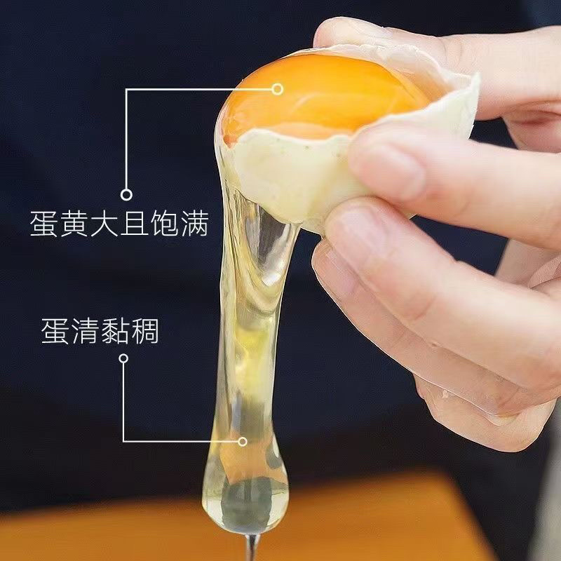 初产乌鸡蛋，蛋壳厚，蛋清黏稠，常年有货，鸡场直销。