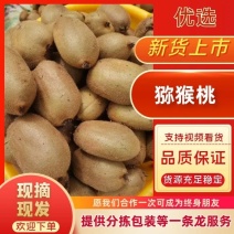 凤凰米良绿心猕猴桃，个头大，现摘现发，对接批发商电商。