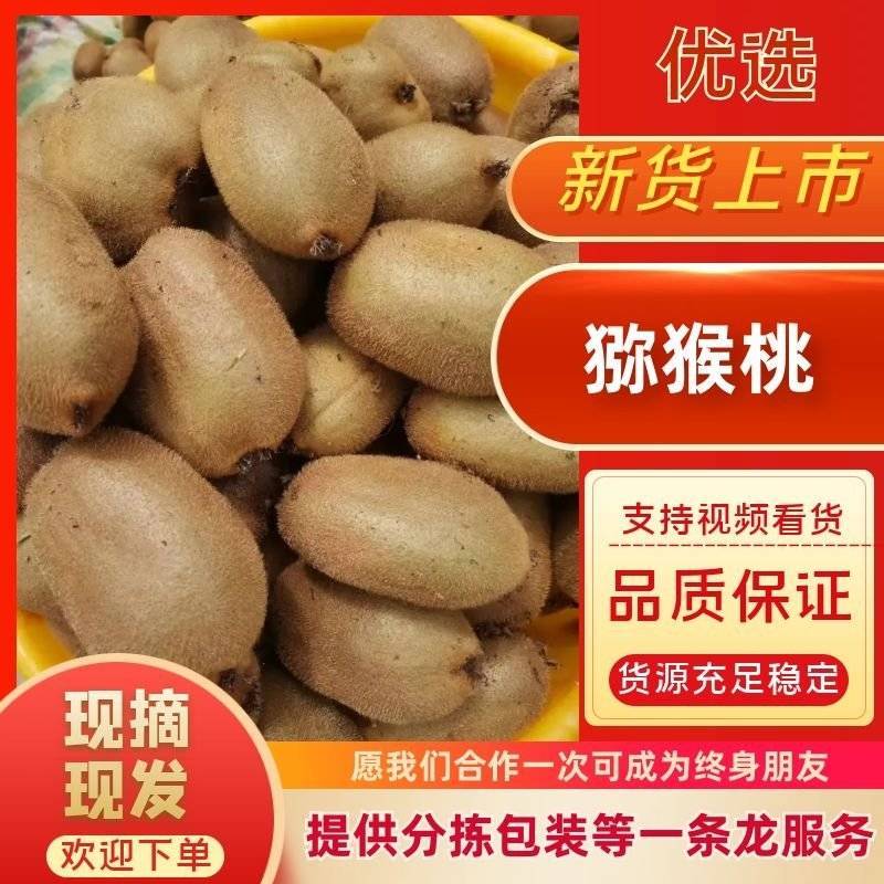 凤凰米良绿心猕猴桃，个头大，现摘现发，对接批发商电商。