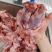 护心肉
