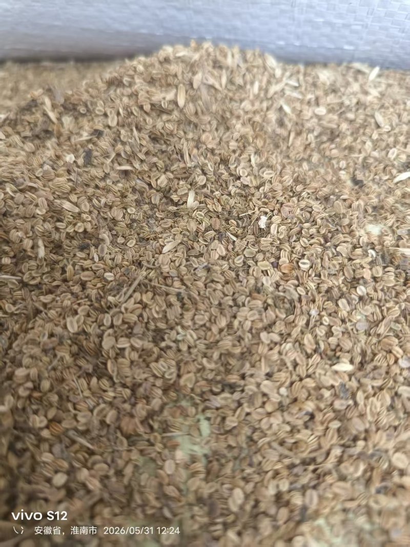 今年新货，量大从优。