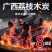 正宗荔枝木炭无烟家用烧烤炭围炉煮茶原木炭户外烤肉果木炭