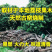 正宗荔枝木炭无烟家用烧烤炭围炉煮茶原木炭户外烤肉果木炭
