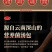 滇九妹七彩菌汤包菌菇干货菌菇包菌袋装100克厂家批发