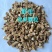 野生党参颗粒