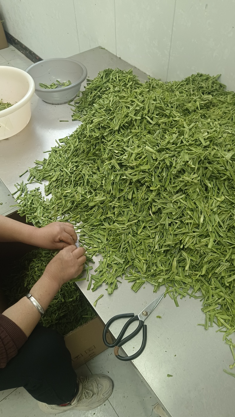 贡菜