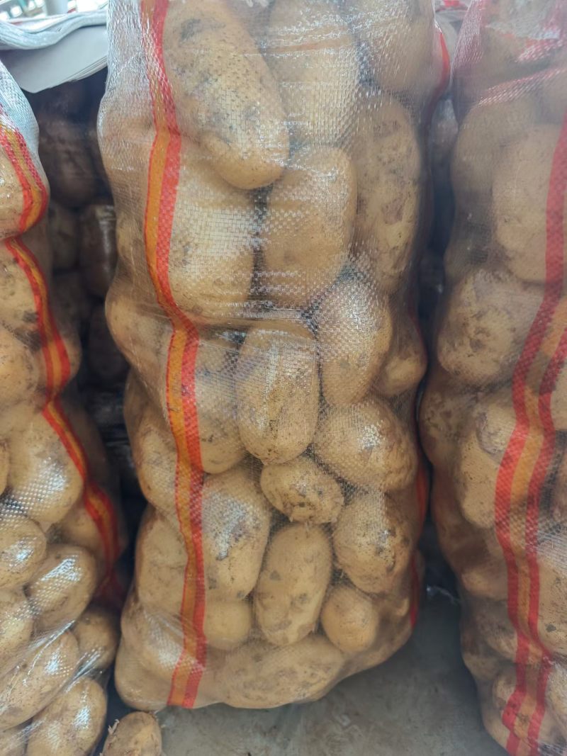 土豆实验一