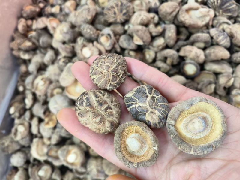 花菇香菇干货足自然晾晒农家自产无硫家用商用都可零售批发
