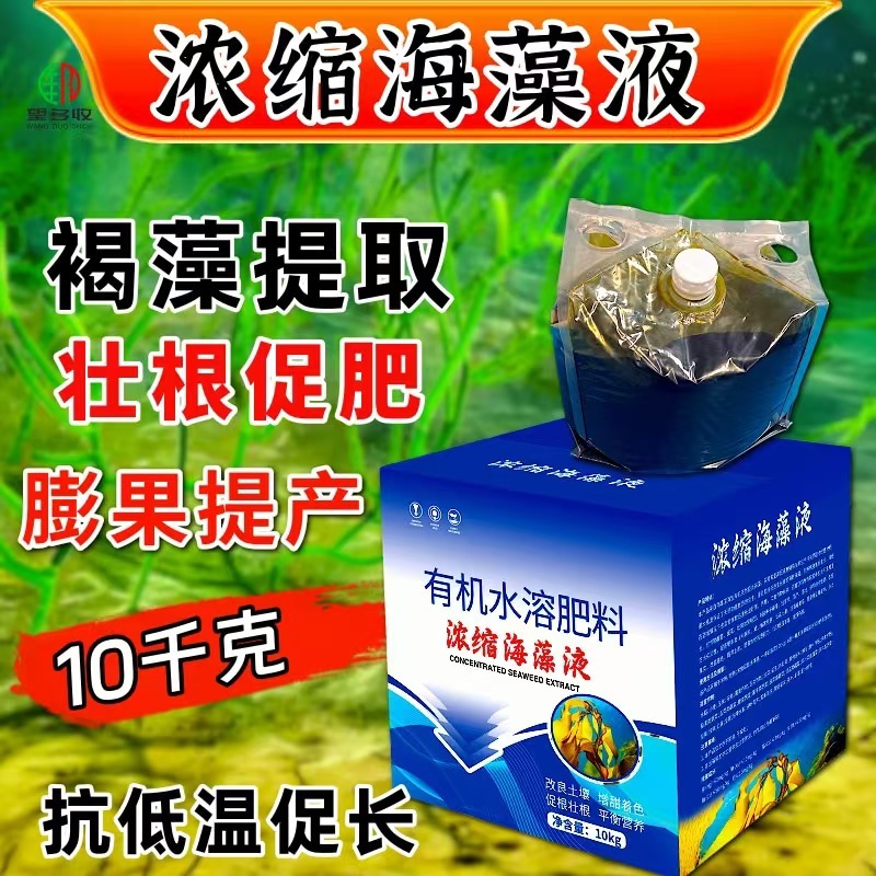 20斤酶解鱼蛋白酶解技术膨果增色提产抗重茬生根壮苗海藻液