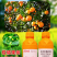 果树杀菌杀虫清园40%苯甲吡唑酯噻虫高氯氟