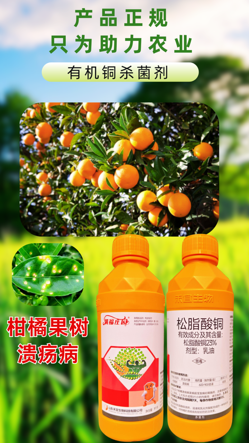 果树杀菌杀虫清园40%苯甲吡唑酯噻虫高氯氟