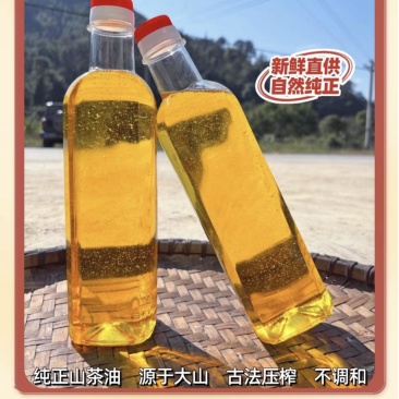 精品山茶油产地一手货源全国发货量大价优欢迎随时联系